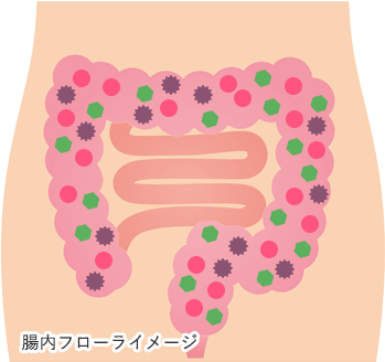 腸内環境の腸内フローライメージ